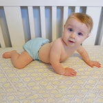 OSFM Pocket Nappy - B04